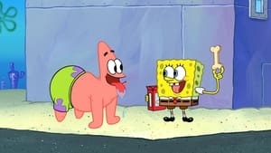 SpongeBob Schwammkopf: 13×13