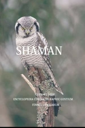 Poster The Shaman 1997