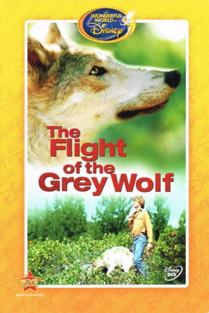 poster The Flight of the Grey Wolf
