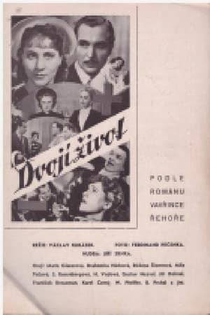 Dvojí život poster