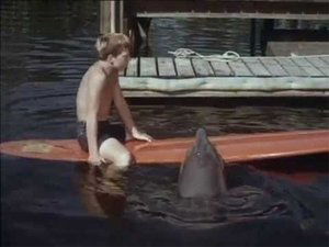 Flipper: 2×24