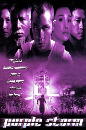 Purple Storm poster