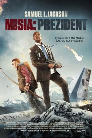 Poster Misia: Prezident 2015