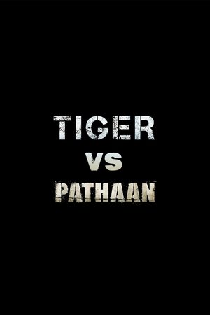 Image Tiger vs. Pathaan