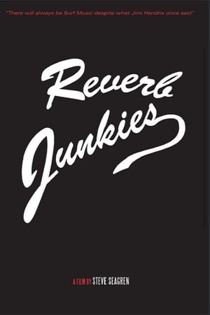 Reverb Junkies poster