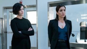 Blindspot 3 x Episodio 14