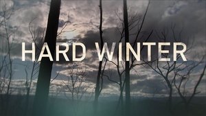 Image Hard Winter