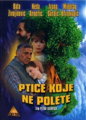 Poster Some Birds Can't Fly (1997)