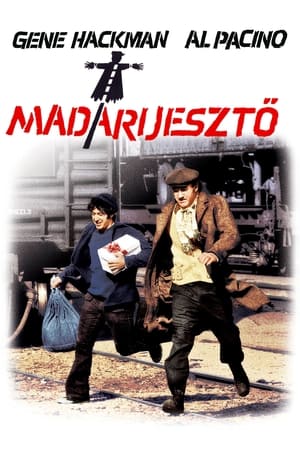 Madárijesztő