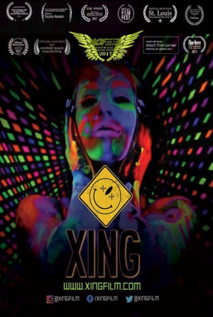 Poster Xing (2017)