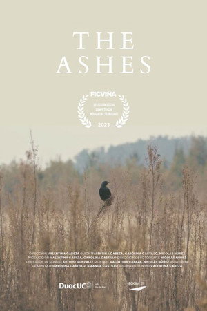 Image The Ashes