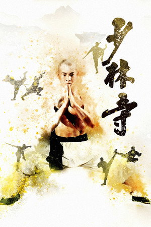 Shaolin Temple 47