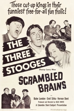 Poster Scrambled Brains 1951