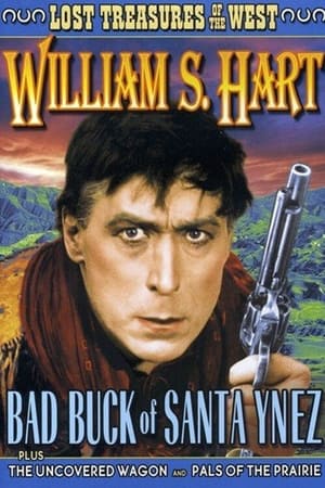 Bad Buck of Santa Ynez poster