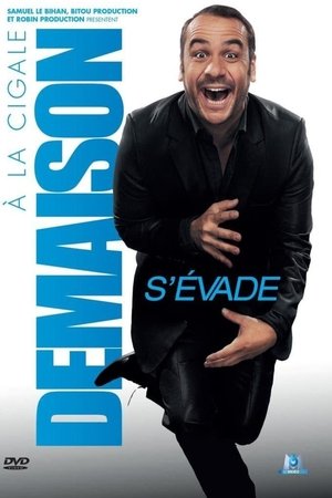 Poster François-Xavier Demaison - Demaison s'évade (2013)