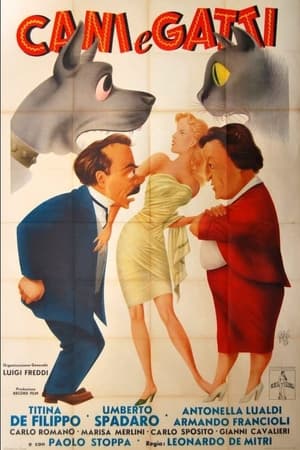 Poster Cani e gatti 1952