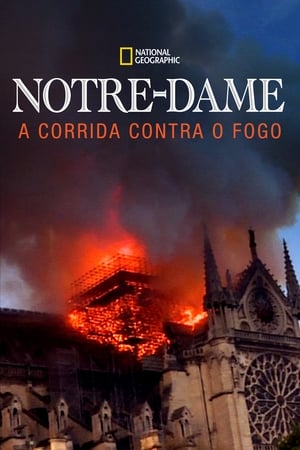 Poster Notre-Dame: Race Against the Inferno 2019