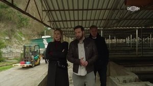 Episodio 14
