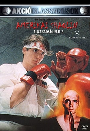 Poster Az Amerikai Shaolin 1991