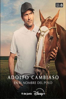 Adolfo Cambiaso, en el nombre del polo
