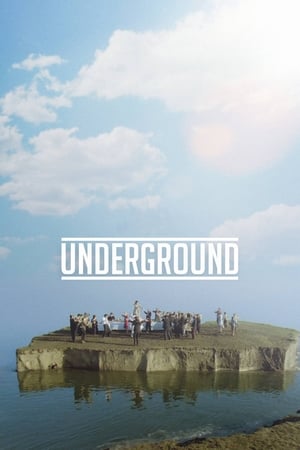 Underground (1995) is one of the best movies like While We're Young (2014)