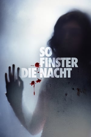 So finster die Nacht 2008