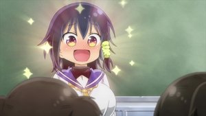 Komori-san Wa Kotowarenai!: 1×12