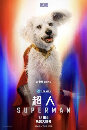 poster Superman