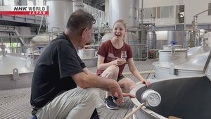 Journeys in Japan: 14×18