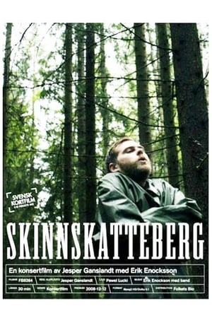 Skinnskatteberg