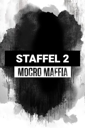 Mocro Maffia: Staffel 2