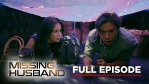 The Missing Husband: Season 1 Full Episode 29