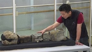 Discovery of the Century: The Great Dinosaur of Japan