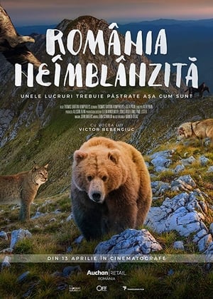 Poster România neîmblânzită 2018