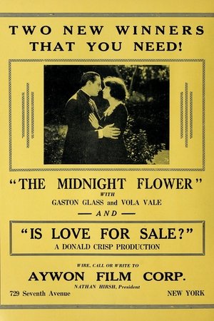 The Midnight Flower