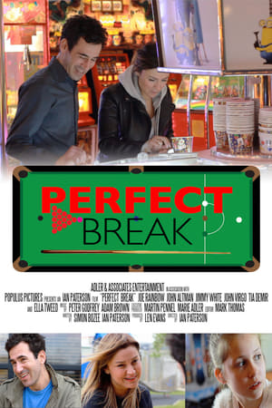 Poster Perfect Break 2016