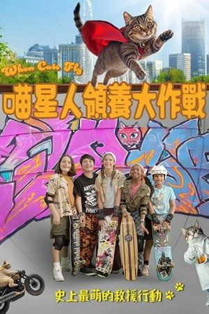 喵星人領養大作戰