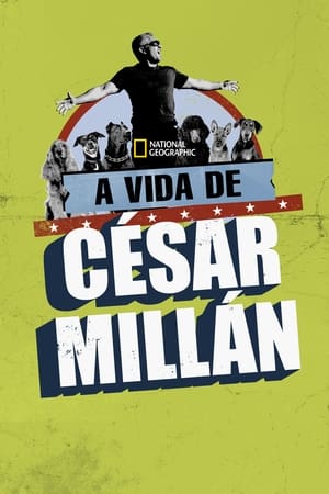 Image Cesar Millan: The Real Story