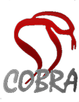 Cobra Film Department