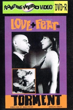 Fear and Love poster