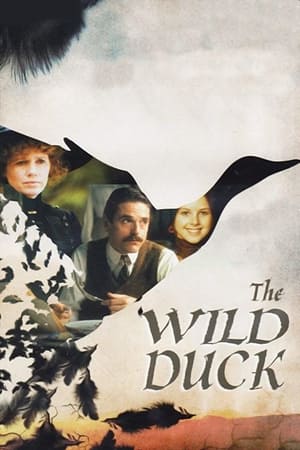 Poster The Wild Duck 1984