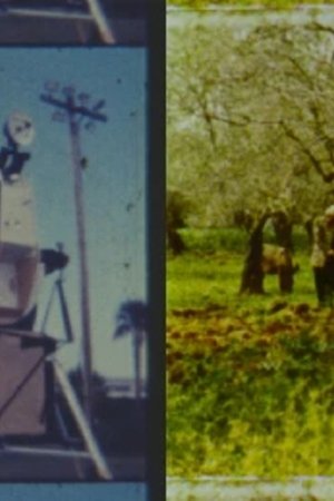 Fragmented Memories (2025)