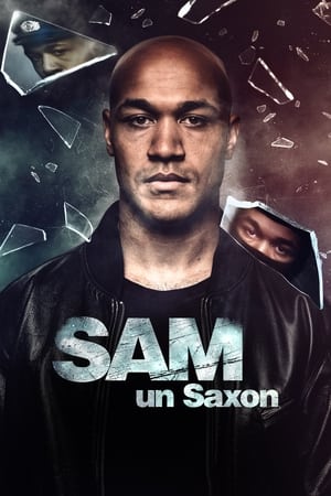 Image Sam, un saxon