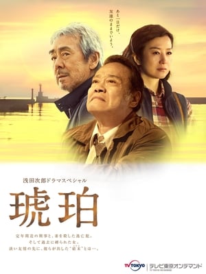 Poster 琥珀 2017