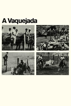 Image A Vaquejada