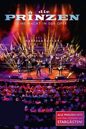 Image Die Prinzen - Eine Nacht in der Oper