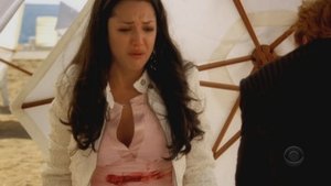 CSI: Miami 5 – Episodio 19