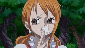 One Piece: Season 18 Episode 798