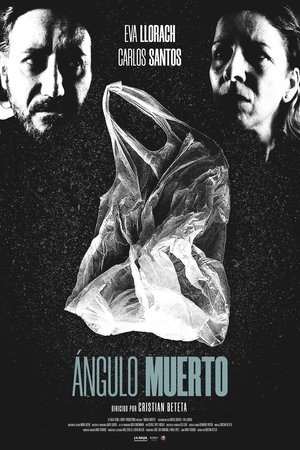 Poster Ángulo muerto 2024