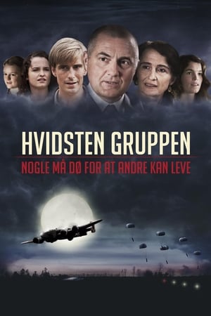 Hvidsten gruppen 2012